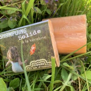 Shampoing solide cheveux normaux