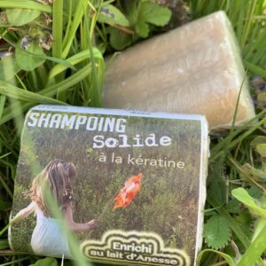Shampoing solide cheveux secs