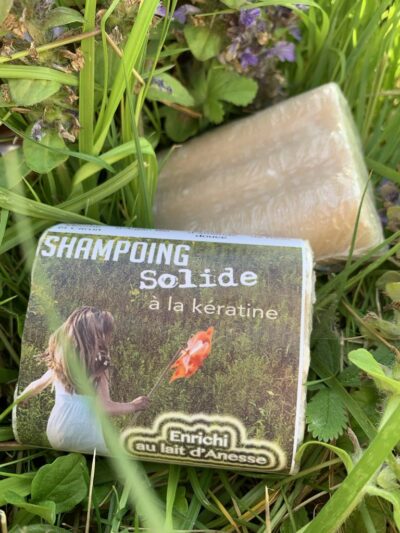 Shampoing solide cheveux secs